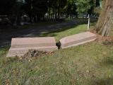 image of grave number 938132